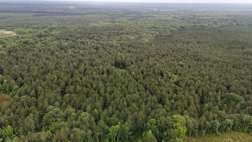 Copy of DJI_20250529224933_0540_D