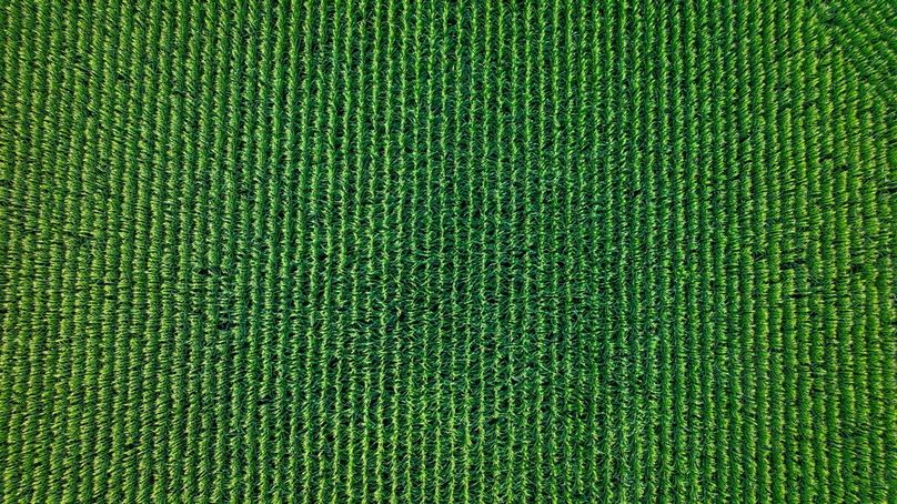 Copy of DJI_20250806063851_0083_D Large