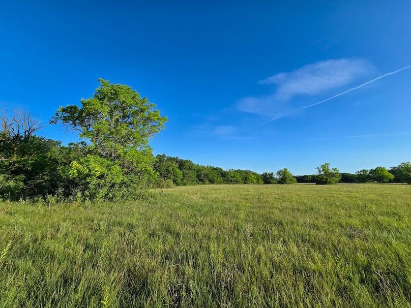 Copy of 20250729_075741