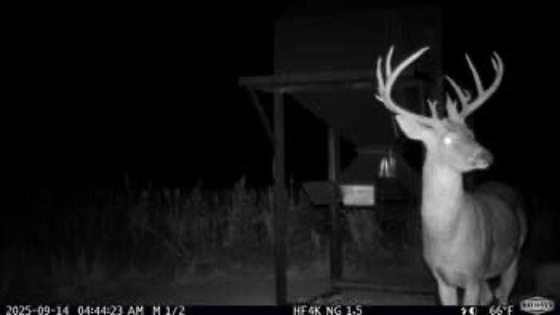 bc32c3b03a13678f80fa4b55074e28a5-small