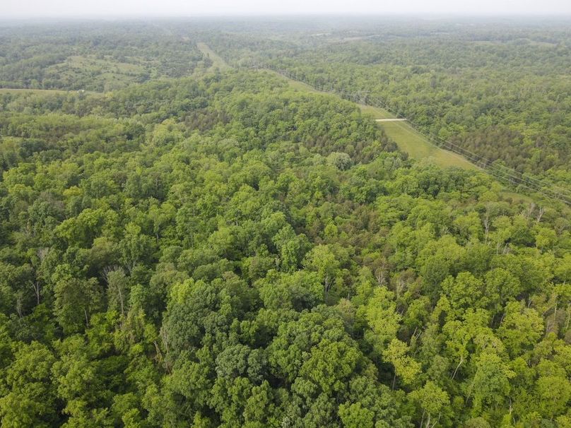 DJI_0557_W