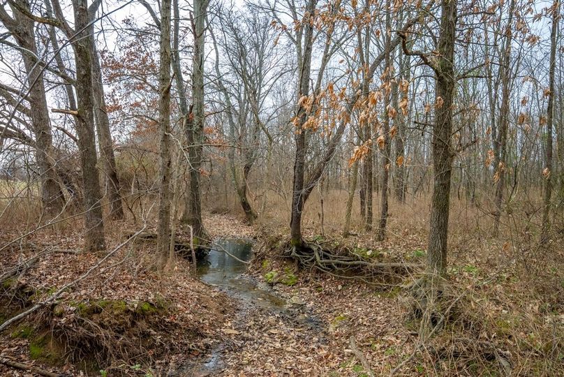 Copy of DSC00722 Large