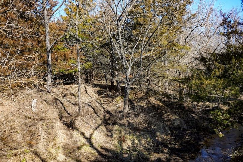 Ottawa Co, 199.7_053