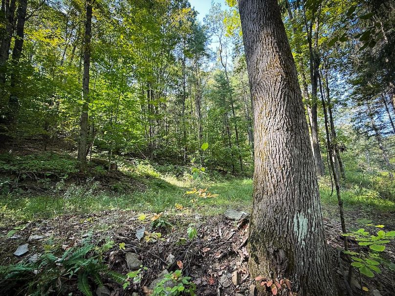 Tioga NY 86.705 Capwell Photos 13