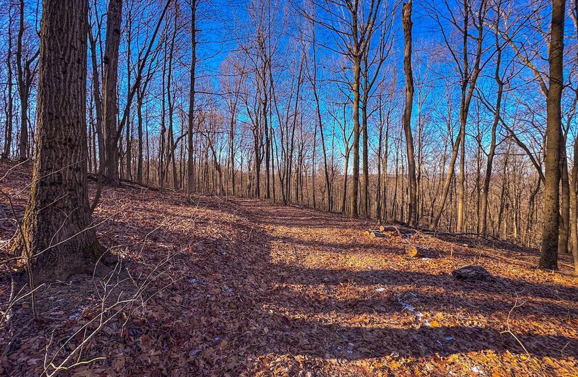 Pleasants, WV 81 AC Barron-05