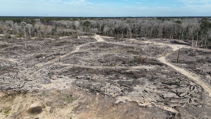 DJI_20260120135129_0031_D