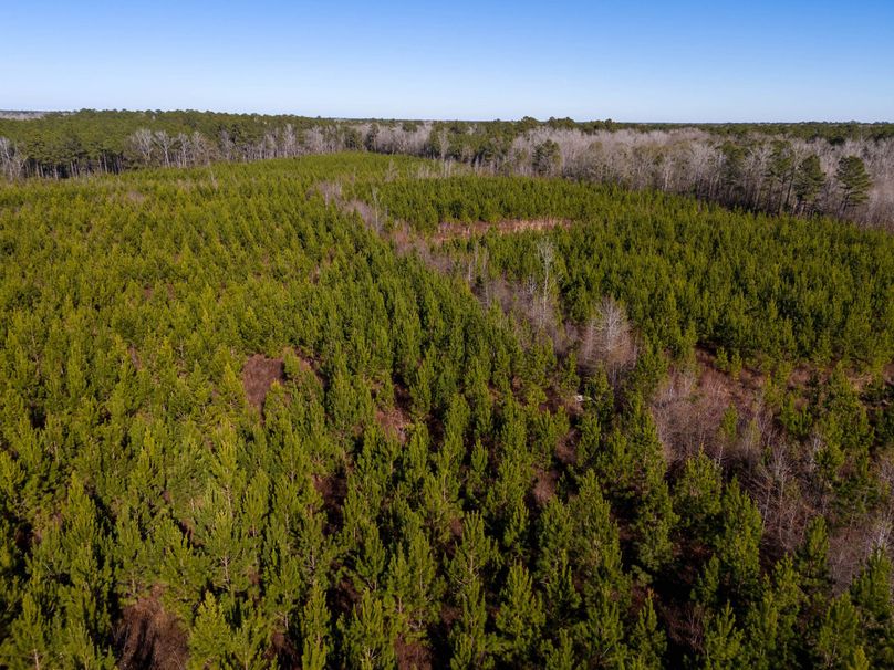 Pender NC 382 - Edits-32