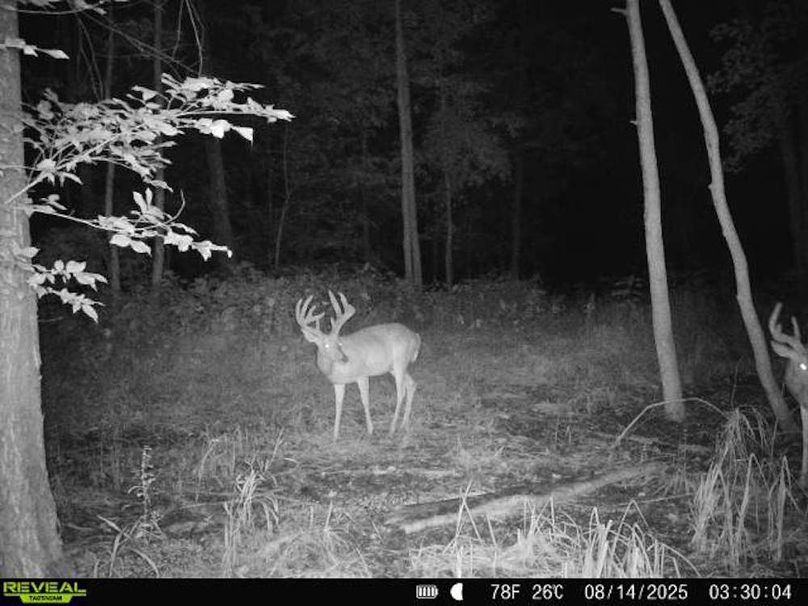 860516068101389-90-3-08142025033004-V-W1000163