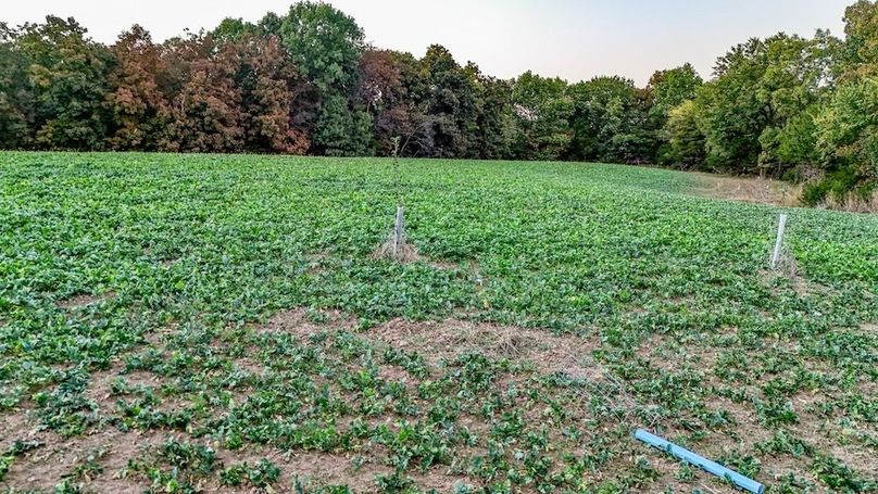 DJI_20251010180925_0049_D