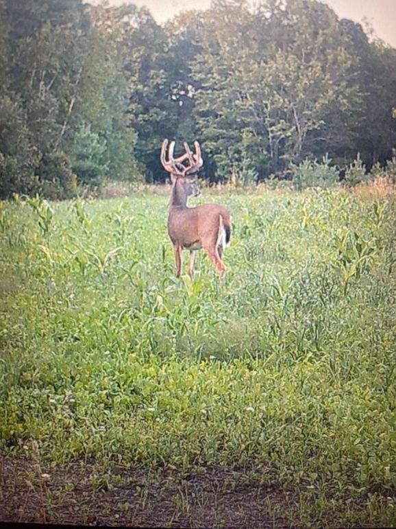 68472165258__D02BBC27-68DA-456A-BFD2-983AE906144E