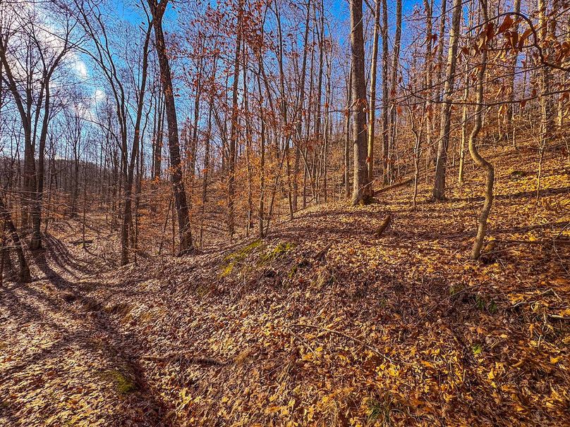 Lewis, WV 82.87 AC Barger-16