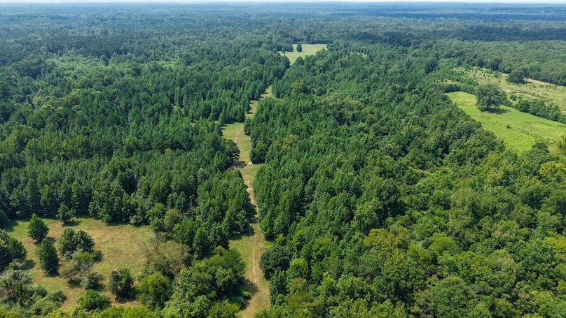 21 Jefferson 117ac - bethard-56