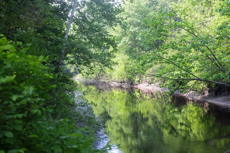 Chippewa85Knowles-5793