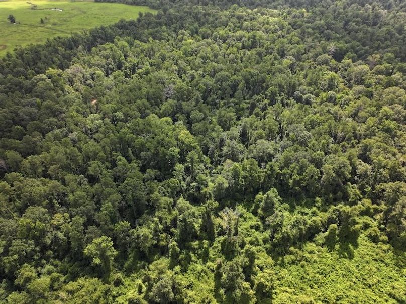 dji_fly_20250708_104550_0196_1752089894506_photo