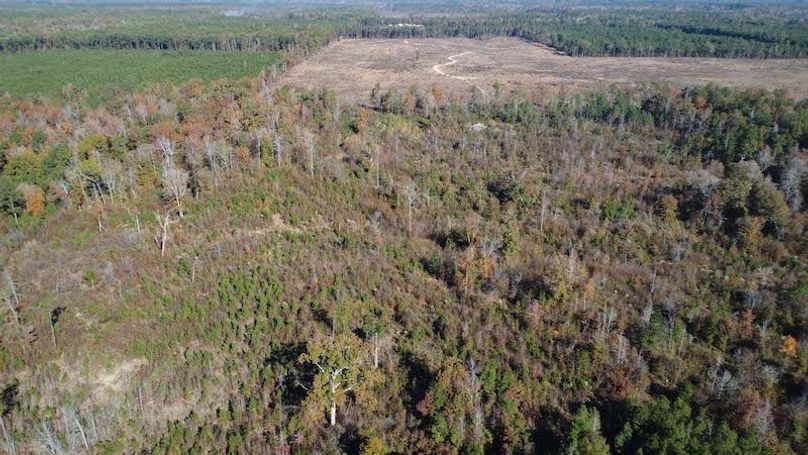 Jeff 11720251111_0187