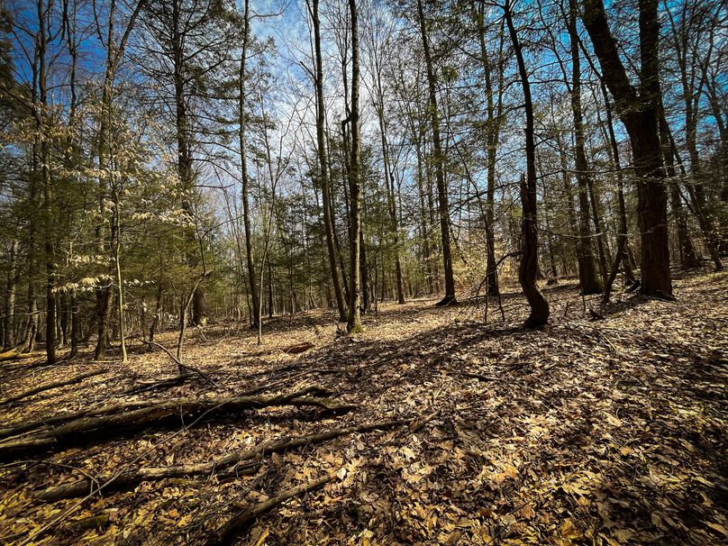 Tioga_56.2_Susquehanna_Photos_43