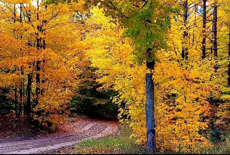 Screenshot_20220714-182311_Facebook