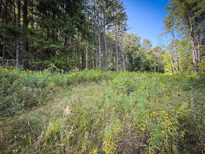 Tioga NY 86.705 Capwell Photos 8