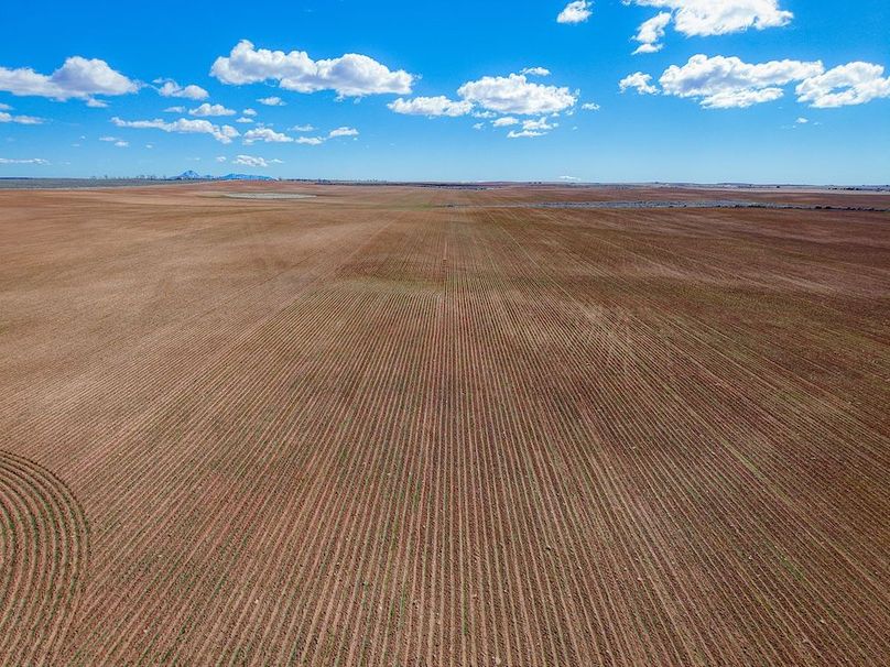 DJI_20260307141307_0108_D