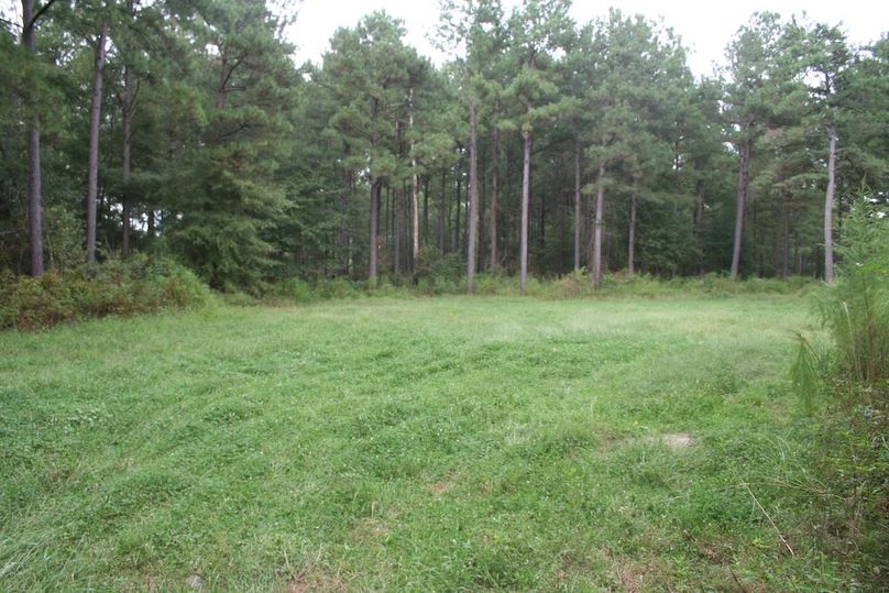 46- food Plot