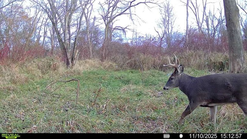 016579008159910-100-3-11102025151257-SYFW00357