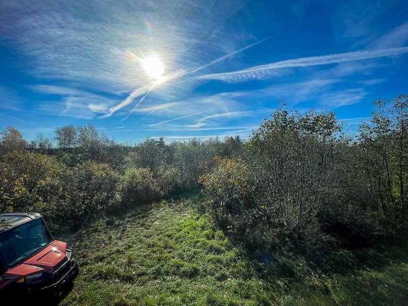 Clark 24.75 Winkel -19