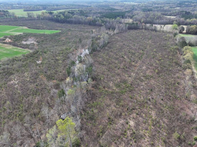 DJI_20260303062556_0510_D