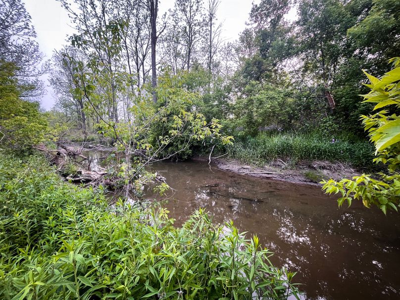 Ontatio_73.3_Green Photo 24