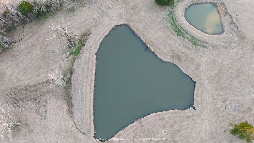 Hinds - 25.48 - Hank Beasley-27