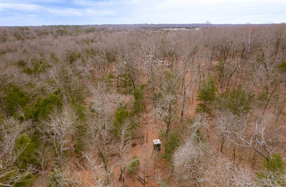 Lamar County- 15 acres (5 of 41)