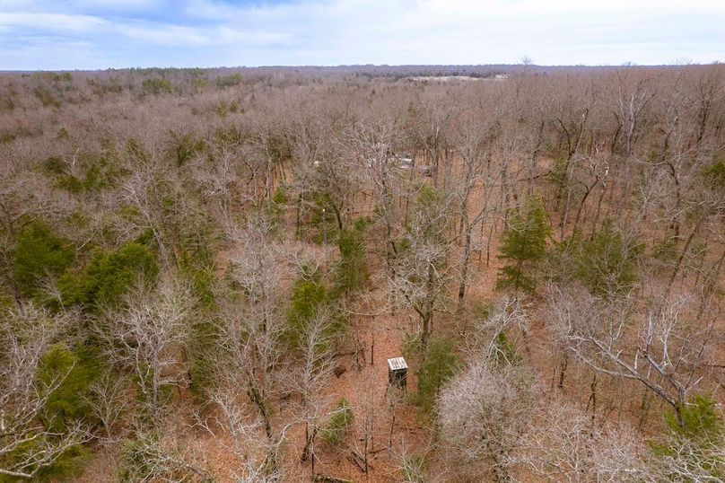 Lamar County- 15 acres (5 of 41)