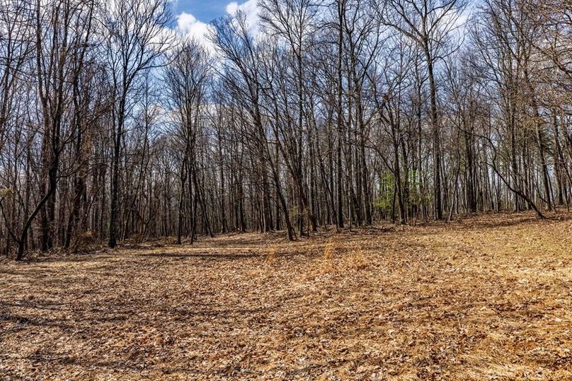 22-web-or-mls-IMG-22