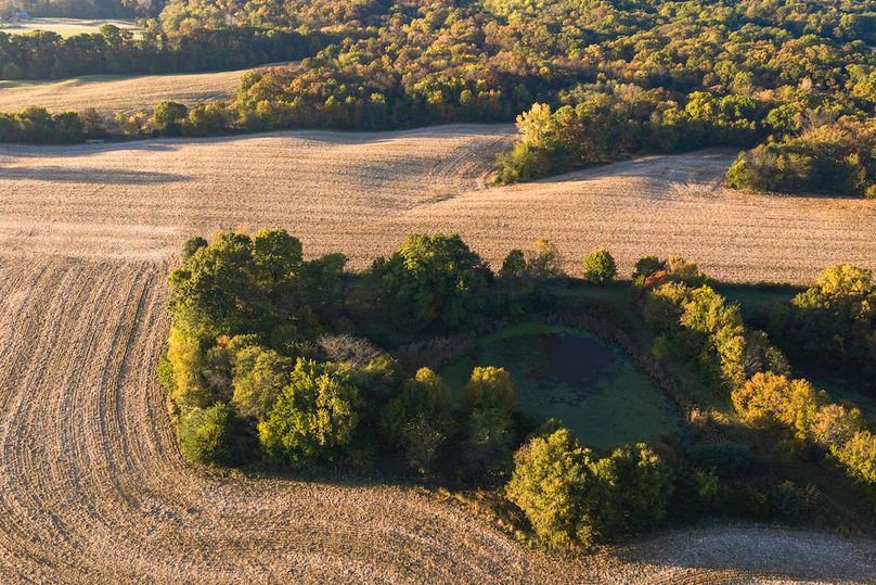 DJI_20251031082625_0252_D-HDR