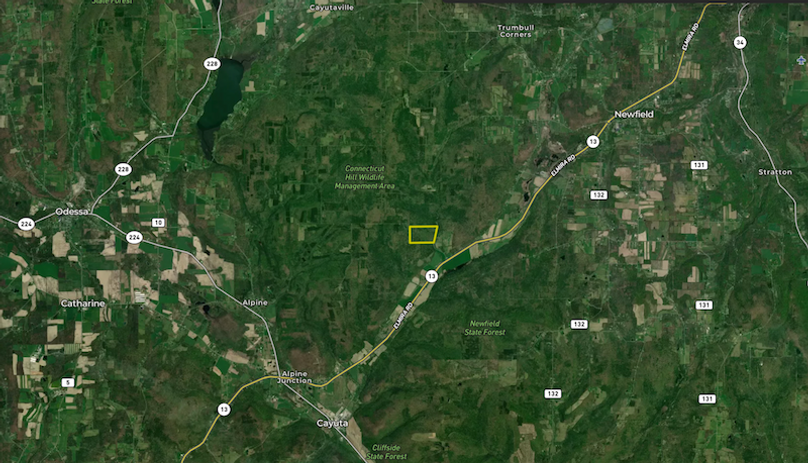 Tompkins NY 87 Allen Landid Aerials 7