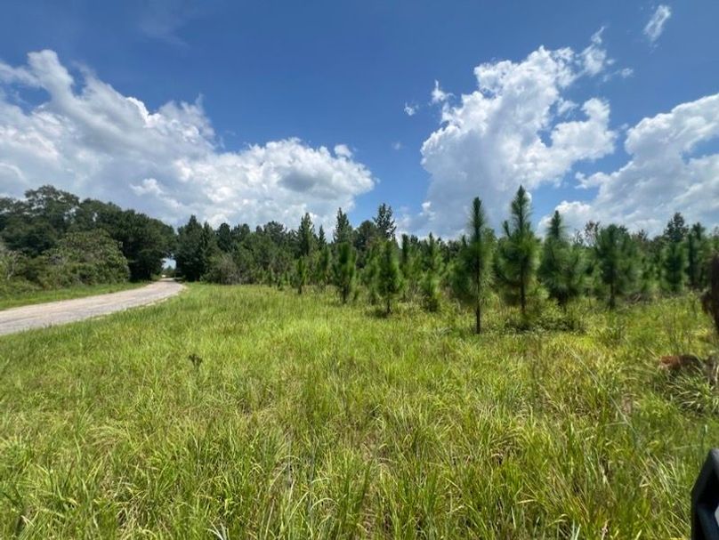 7E3F748B-28A3-4B5A-BBC8-B2040D93A0AB_1_105_c