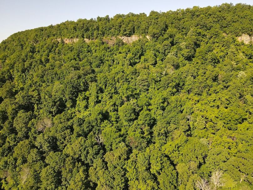 DJI_0400