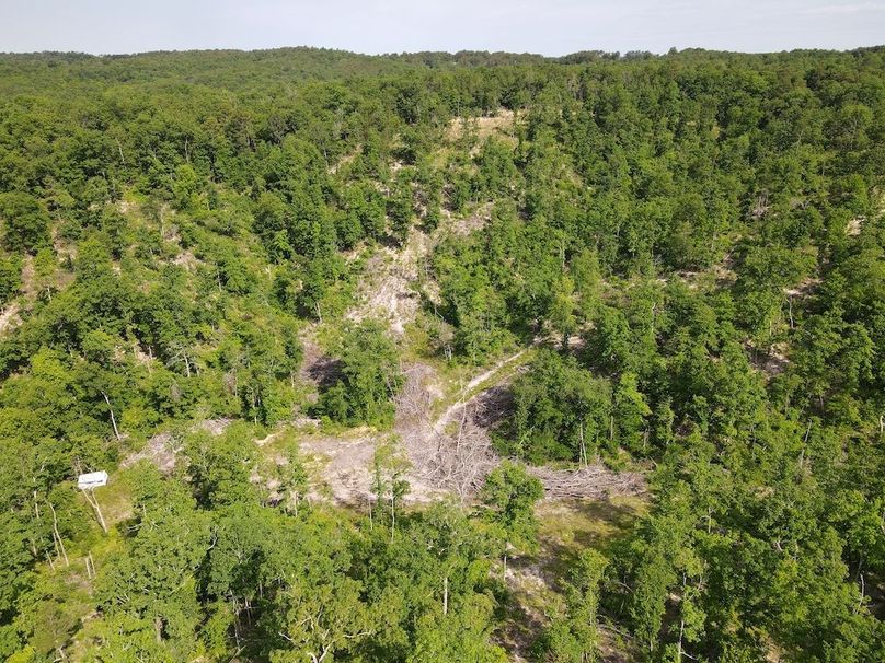 DJI_0436