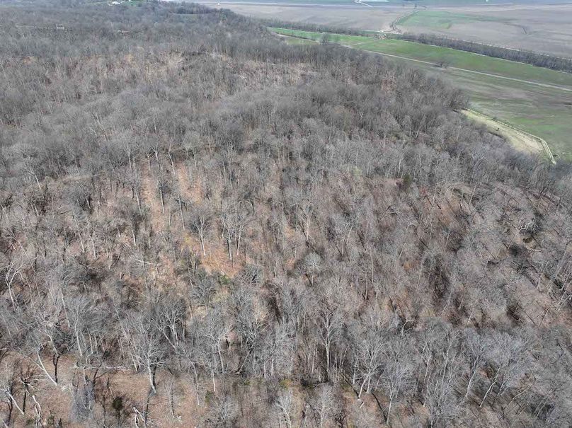 DJI_20260306175233_0569_D