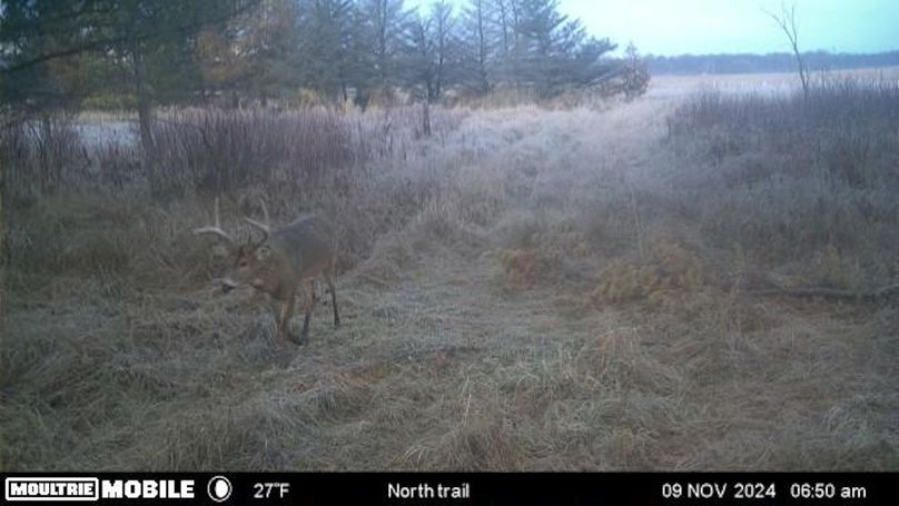 Temp_1082396-20241109125135-100MFCAM-MFDC1457