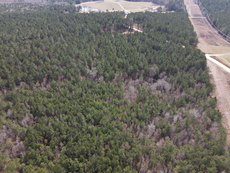 DJI_0778