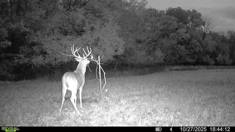 016579000173638-45-3-10272025184412-V-SYFW10526