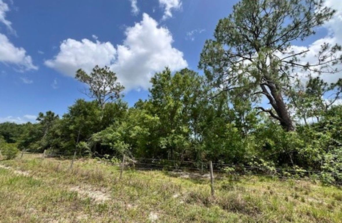 35D78A8C-077C-4E48-B721-864BB6CA79DF_4_5005_c