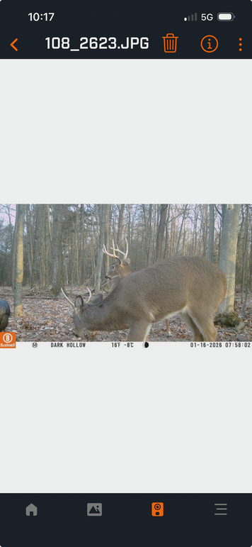 Screenshot 2026-04-02 at 10.17.50 AM 2