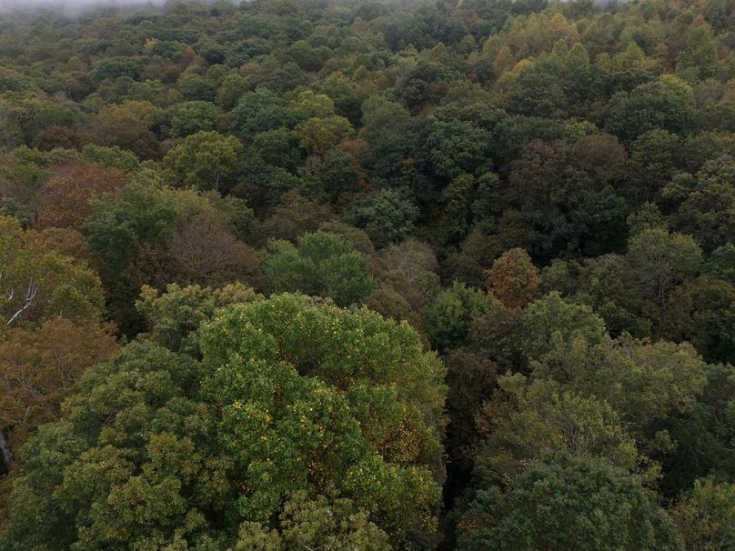 DJI_20250926073833_0063_D