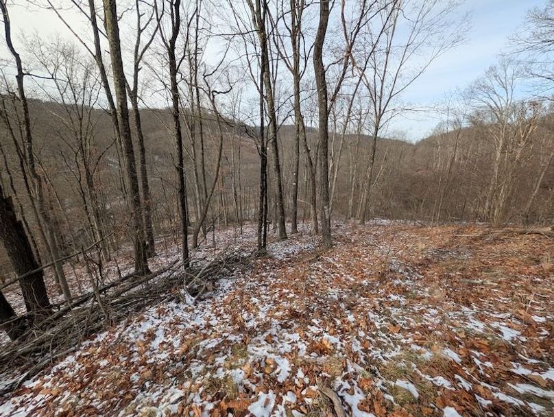 PXL_20260112_171104345