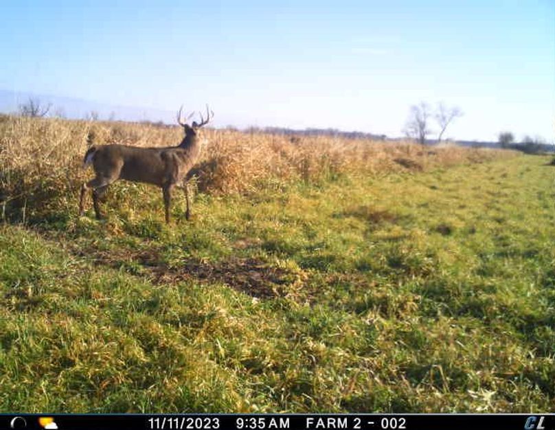 Trail Cam 2