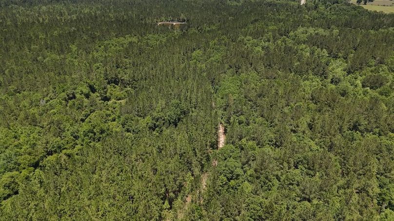 DJI_20240516124544_0025_D