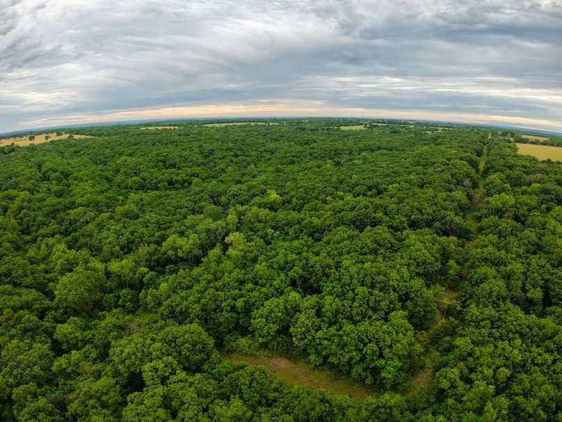 DJI_20250630071520_0310_D