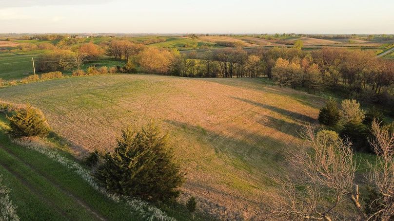 MONTGOMERY CO IA. 156.78_45