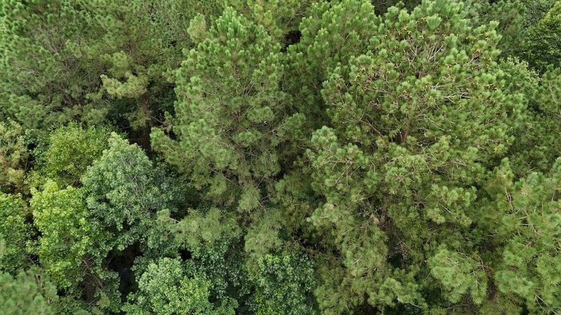 dji_fly_20250715_130834_0649_1752599372367_photo